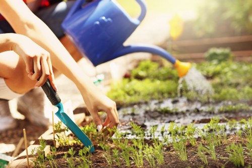 A close-up of a gardener’s hands planting young seedlings into a prepared flower bed in an outdoor garden setting in Ruislip. The flower bed has dark, moist soil bordered by wooden edging, with small, evenly spaced plants emerging in neat rows. In the background, a blue watering can is partially visible, indicating ongoing watering or planting activity, while sunlight filters through the surrounding greenery, creating a warm, natural atmosphere. The garden appears well-maintained with a tidy, landscaped layout, featuring a grass lawn at the front and shrubbery or trees further back, aligning with typical outdoor gardening and landscaping practices carried out by companies like Landscapers Ruislip.