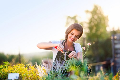 Landscaper assessing a garden site before work begins