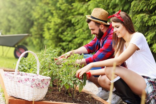 Lush green lawn maintained by Landscapers Ruislip
