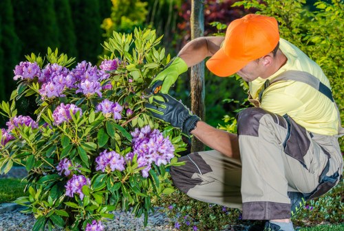 Professional tree lopping in Ruislip