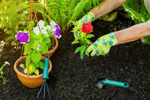 A close-up view of a homeowner's hands, wearing colorful gardening gloves with blue and green floral patterns, planting a small red flowering plant into dark, freshly turned soil in a garden bed. To the left, there are two terracotta pots hanging on a metal stand, each containing lush green foliage and vibrant purple and white flowers. A small hand rake and pruning shears are placed on the soil nearby, indicating ongoing gardening work. The garden environment features bright natural lighting, suggesting a sunny day, with a background of green leafy plants and ferns, creating a lush outdoor space that may be part of a landscaped backyard or front garden in Ruislip. The scene emphasizes the activity of planting and garden maintenance, aligning with outdoor gardening services provided by companies like Landscapers Ruislip, promoting healthy plant growth and aesthetically pleasing outdoor areas.