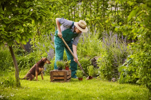 A woman wearing a straw hat, blue overalls, and a checkered shirt is tending to a lush, green garden in a backyard, using a gardening tool to work the soil around flowering plants and shrubs. She is surrounded by various plants, including tall lavender or similar purple flowering plants, and dense foliage of trees and bushes that create a shaded environment. The garden features a well-maintained, vibrant green lawn in the foreground, edged by natural soil borders and small stones, with a wooden planter box filled with garlic or similar herbs nearby. A brown dog sits attentively on the grass, observing the woman, while the overall scene depicts a peaceful, well-kept outdoor space typical of a residential garden, with natural lighting suggesting a bright, possibly slightly overcast day. This setting aligns with gardening and outdoor maintenance services provided by Landscapers Ruislip, supporting local gardening and landscaping needs in the Ruislip area postcode.