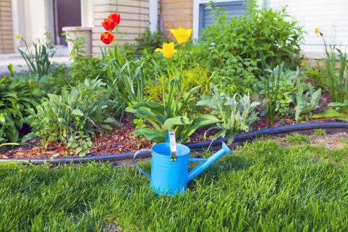 A vibrant garden scene featuring a neatly maintained lawn with lush, green grass in the foreground, bordered by a curved flower bed edged with black plastic. The flower bed contains a variety of flowering plants, including red tulips, yellow daffodils, and purple irises, with lush green foliage providing a natural backdrop. Behind the flower bed, there are small shrubs and leafy plants, adding texture and height to the garden. A bright blue water can sits on the lawn, slightly off-center, indicating ongoing gardening activity. In the background, a white garden shed with blue window frames is partially visible. The scene is illuminated by natural daylight, suggesting fair weather, and the environment appears tidy and well-maintained, consistent with services offered by companies like Landscapers Ruislip in the Ruislip area, postcode HA4. The overall setting reflects a thoughtfully landscaped outdoor space suitable for gardening and outdoor enjoyment.
