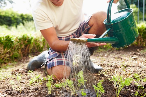 A person kneeling on a freshly cultivated garden bed, watering young plants with a green watering can under natural sunlight. The garden features a soil bed with small green seedlings spaced evenly, bordered by a lush, green hedge in the background. The individual is dressed in casual clothing, including a beige t-shirt and checkered shorts, indicating outdoor gardening activity. The garden area appears well-maintained with a mix of exposed soil and emerging plants, suggesting recent planting or preparation for further landscaping. The scene captures a typical backyard garden environment, with soft lighting highlighting the vibrant greens and earthy tones, aligned with gardening and landscaping services such as lawn care, planting, and outdoor maintenance for properties in Ruislip or surrounding areas.