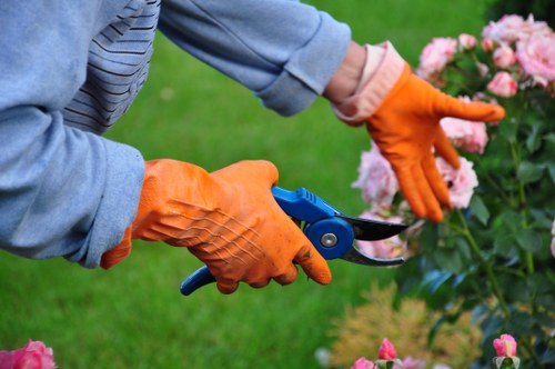 A gardener wearing orange gloves and a grey jacket is using pruning shears to trim a flowering shrub with pink blossoms in a well-maintained garden. The garden features a neatly cut green lawn, flower beds with lush plants, and a natural outdoor environment. In the background, there are additional plants and a wooden garden border, indicating a landscaped backyard area typical of residential gardens in Ruislip. The scene is well-lit, suggesting a bright, clear day suitable for garden maintenance. This detailed view highlights practical gardening activities such as pruning, with clean tools and healthy plant growth, reflecting professional outdoor gardening services offered by Landscapers Ruislip in the local area.