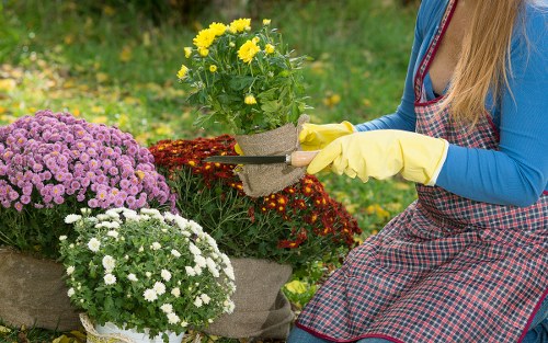 Secure payment process for Landscapers Ruislip with SSL protection
