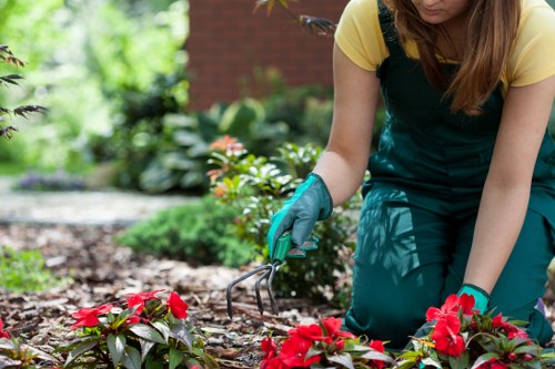 The image depicts a person wearing a yellow top and teal gardening apron, kneeling on the soil in a landscaped garden in Ruislip, tending to a bed of vibrant red flowering plants. The garden showcases a well-maintained lawn area with lush, dense green grass, and borders edged with shrubs and small decorative flowers. Behind the person, there are various green leafy plants and a brick wall, suggesting a private outdoor space with a mix of flowering and foliage plants. The soil in the flower bed appears dark and moist, indicating recent watering or planting activity. The person is using a gardening tool to care for the plants, and natural daylight illuminates the scene, emphasizing the fresh and lively appearance of the garden. This setting exemplifies typical features of a professional outdoor garden maintained by landscapers, with carefully arranged plant beds, clean paving, and lush greenery suitable for general garden care and landscaping services in the Ruislip area.