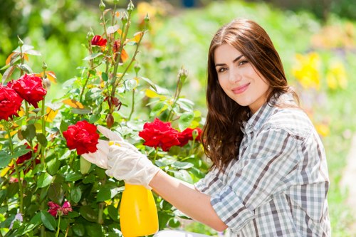 A young woman with long brown hair, wearing a light-colored checkered shirt, is tending to bright red roses in a garden. She is smiling gently and holding a yellow spray bottle in her right hand while carefully pruning or watering the roses. The garden setting includes lush greenery, with various plants and shrubs visible in the background, suggesting a well-maintained outdoor space typical of residential gardens in Ruislip or nearby areas. The scene is illuminated by natural daylight, with a soft, warm light indicating clear weather. The garden features a combination of vibrant flower colours and verdant foliage, with the rose plants positioned in the foreground and other leafy plants filling the background. This scene exemplifies gardening practices that could be supported by professional garden care services offered by companies like Landscapers Ruislip, focusing on flower bed maintenance, planting, and outdoor plant care in a suburban environment.