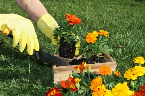 The image showcases a gardener's hand wearing yellow gardening gloves, using a small trowel to carefully plant a vibrant orange flowering plant into a wooden planter box. Surrounding the planter are blooming marigolds with bright yellow and orange petals, arranged in a garden bed with dark, fertile soil. The garden is lush, featuring well-maintained grass with a rich green tone, providing a neat and inviting outdoor environment. In the background, the grassy area extends, indicating a landscaped yard or garden space typical of residential areas in Ruislip, suitable for gardening and outdoor maintenance services provided by companies like Landscapers Ruislip. The scene is captured during daylight with natural lighting, emphasizing the healthy growth of the plants and the organized layout of the flower beds and lawn, reflecting professional gardening care aimed at enhancing outdoor spaces.