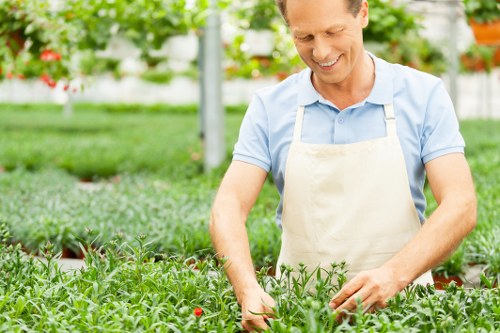 A man wearing a light blue shirt and a beige apron is inspecting or tending to plants in a well-maintained garden or greenhouse surrounded by lush green foliage. The garden features vibrant, healthy leafy plants in the foreground, with some small red flowers visible among the foliage. The background includes a clear, bright outdoor environment with supporting garden structures such as metal frames or poles that may support climbing plants or shade coverings. The soil appears well-kept and free of weeds, and the overall scene suggests careful garden management typical of professional gardening services, possibly located in Ruislip or nearby in the UK, with natural daylight illuminating the scene under mild weather conditions. This image exemplifies meticulous plant care and outdoor maintenance, relevant to the landscaping and gardening services provided by Landscapers Ruislip on their pricing and quotes page.