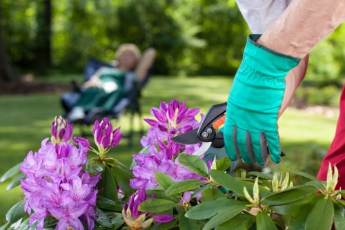 A close-up view of a gardener's hands wearing teal gardening gloves, using pruning shears to trim a flowering shrub with purple and pink blossoms in a landscaped garden. The background shows a neatly maintained lawn area with lush green grass, bordered by trees and shrubs, and a blurred outdoor seating area with a person sitting on a garden lounge chair under natural daylight. The scene captures the outdoor environment of a typical residential garden in Ruislip, highlighting gardening and landscaping maintenance activities as part of professional services by Landscapers Ruislip. The garden appears well-kept, with healthy plant growth, and the overall setting suggests a calm and tidy outdoor space ready for further landscaping work or outdoor enjoyment.