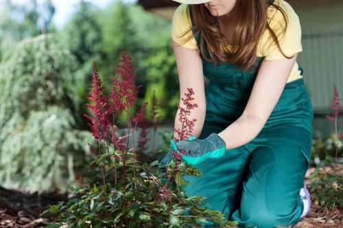 Healthy trees managed by experts