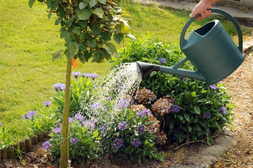In the outdoor garden of a residential property in Ruislip, a gardener's hand is visible pouring water from a green watering can over a variety of flowering plants and shrubs. The garden features a well-maintained lawn area with lush, dense grass, edged by a small wooden border that separates it from flower beds. The flower beds contain clusters of purple and pink flowers, along with green leafy plants, and are arranged around a young, small tree supported by a stake. In the background, there are additional shrubbery and a paved pathway or patio area, suggesting a landscaped outdoor space designed for gardening and leisure. The scene is set in natural daylight, with bright, clear weather highlighting the vibrant colors of the flowers and greenery, and supporting ongoing gardening activities typical of maintained residential gardens in the Ruislip area. This image reflects typical gardening care and outdoor maintenance services offered by companies like Landscapers Ruislip, including watering, planting, and garden upkeep.