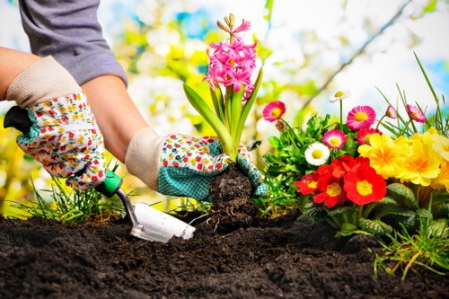 A gardener wearing colorful gardening gloves is planting a pink hyacinth in dark, freshly turned soil within a well-maintained garden. To the right, there is a vibrant flower bed filled with various blooming plants, including yellow, pink, white, and red flowers, creating a lively display of colour. The garden features a lush, green lawn and is surrounded by blurred trees and foliage, suggesting an outdoor space in spring or early summer. The scene is illuminated by natural daylight, highlighting the healthy, vibrant plants and the textured soil surface, indicative of ongoing gardening or landscaping work which a professional landscapers Ruislip might undertake as part of their gardening services to enhance outdoor spaces.