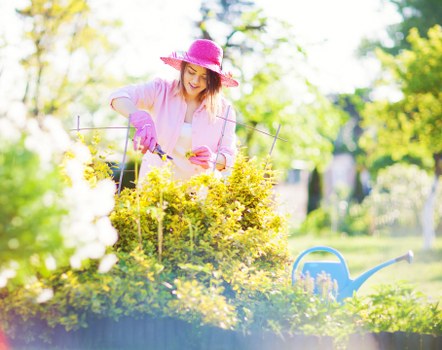 A woman wearing a pink sunhat, pink gloves, and light-colored clothing is tending to a garden, pruning or trimming a lush yellow-green shrub. The garden features a well-maintained lawn with dense, green grass in the foreground, bordered by neatly arranged flower beds and shrubbery. In the background, there are tall trees with light green foliage and a partly cloudy sky, indicating a bright, sunny day. A blue watering can is placed on a wooden or stone edging nearby, and garden tools are visible, suggesting active outdoor gardening work. The scene is set in a suburban or residential garden, with natural sunlight illuminating the plants and creating a warm, inviting atmosphere typical for a landscaped urban or suburban outdoor space in the Ruislip area, with subtle references to local gardening services. The overall environment appears calm and well-kept, with a focus on outdoor horticultural care and maintenance.