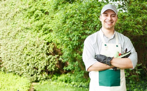 A professional gardener standing in a lush, well-maintained garden with a variety of greenery including dense shrubbery and trees in the background. The gardener is wearing a light grey cap, a grey apron over a white shirt, and black gloves, holding gardening tools and smiling at the camera. The garden features a neat lawn area with vibrant green grass, bordered by a mix of bushes and plants, indicating a cultivated outdoor space suitable for landscaping and garden maintenance services in Ruislip, with natural daylight illuminating the scene. The setting demonstrates a tidy, landscaped environment with healthy plant growth and a focus on outdoor preservation and care, reflecting the expertise of a local gardening company, such as Landscapers Ruislip.