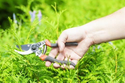 A close-up view of a person's hand using a pair of garden pruning shears with orange and black handles to trim green ferns in a garden setting. The background features dense, bright green foliage and blurred leaves, indicating a healthy, well-maintained yard. The garden area includes lush grass and a variety of plants, with natural daylight illuminating the scene, suggesting an outdoor garden in Ruislip or nearby within the HA postcode area. This image exemplifies garden maintenance work typical of professional gardening services offered by Landscapers Ruislip, focusing on hedge and shrub trimming, lawn care, and general outdoor landscaping to enhance the appearance of residential gardens in the local area.