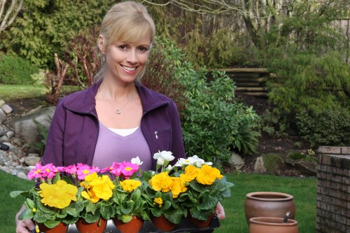 A woman with light blonde hair and a friendly expression is standing in a lush garden, holding a black tray filled with multiple small terracotta pots each containing vibrant flowering plants in shades of pink, yellow, and white. She is wearing a purple jacket over a white top, and behind her, there is a well-maintained lawn with green grass, a variety of shrubs, and trees providing a natural backdrop. The garden features a stone pathway, a tiled brick wall, and potted plants, indicating an outdoor space designed for gardening and landscaping. The scene appears to be taken on a partly sunny day, highlighting the vivid colours of the flowers and greenery, suggesting activities related to gardening services in the Ruislip area.