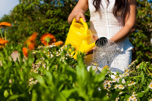 Advanced irrigation system installation by landscapers