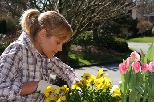 A young woman with blonde hair tied back in a ponytail, wearing a light checkered shirt and gardening gloves, is tending to a flower bed in a suburban front garden. She is carefully planting or examining bright yellow flowers, with a backdrop of pink tulips on the right. The garden features a neatly maintained grass lawn with a paved pathway or driveway visible in the background, edged by mature trees and shrubs that provide a natural, shaded environment. The scene is illuminated by natural daylight, suggesting a clear, sunny day. The garden appears well-kept, with healthy plants and a tidy landscape, reflecting professional gardening services that enhance outdoor spaces in Ruislip or nearby areas. The overall setting emphasizes a peaceful and well-manicured outdoor area suitable for adding value and aesthetic appeal through expert lawn care and plant maintenance typical of local landscapers like Landscapers Ruislip.
